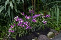 Stadrundfahrt in Singapur