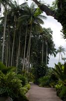 Stadrundfahrt in Singapur