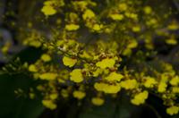 Stadrundfahrt in Singapur