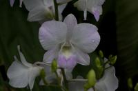 Stadrundfahrt in Singapur