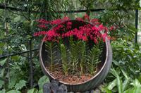 Stadrundfahrt in Singapur