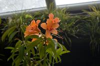 Stadrundfahrt in Singapur