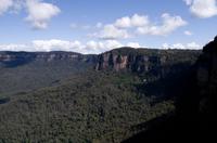 Blue Mountains und Featherdale Wildlife Park