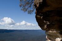 Blue Mountains und Featherdale Wildlife Park