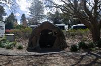 Blue Mountains und Featherdale Wildlife Park