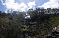 Blue Mountains und Featherdale Wildlife Park