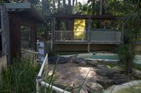 Blue Mountains und Featherdale Wildlife Park