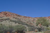 Alice Springs