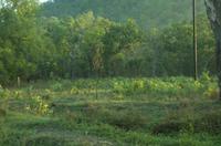 Kakadu-Nationalpark & Arnhemland-Safari