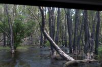 Kakadu-Nationalpark & Arnhemland-Safari