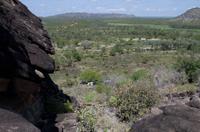 Kakadu-Nationalpark & Arnhemland-Safari