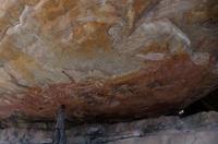 Kakadu-Nationalpark & Arnhemland-Safari