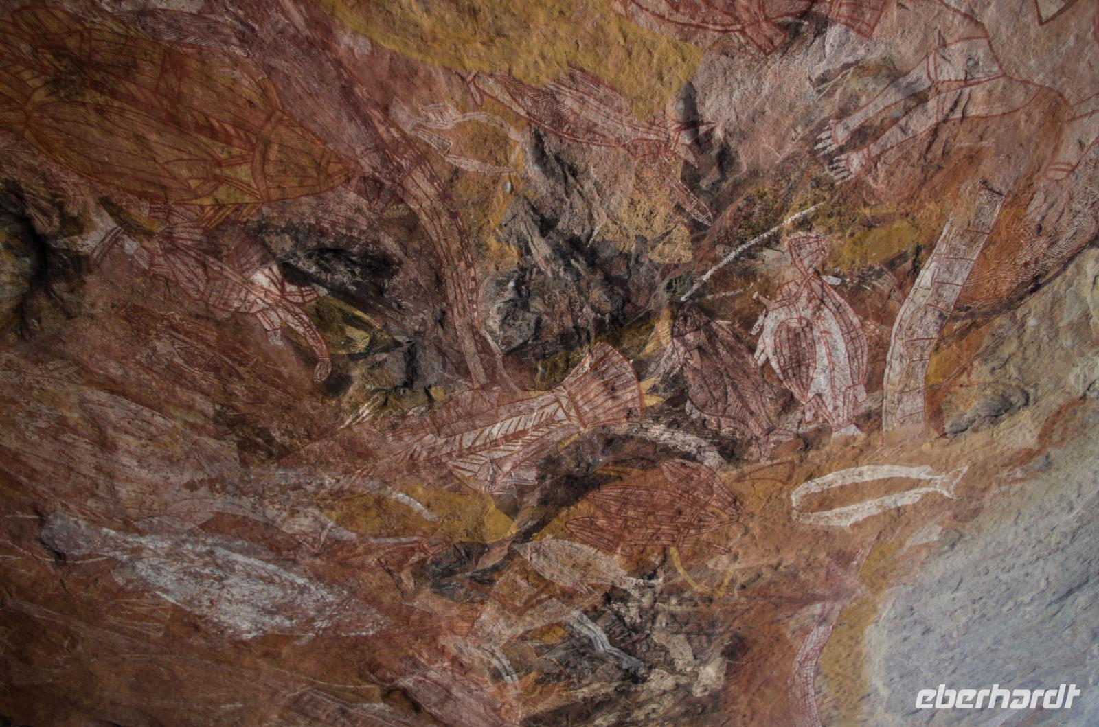 Kakadu-Nationalpark & Arnhemland-Safari