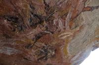 Kakadu-Nationalpark & Arnhemland-Safari