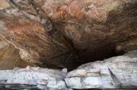 Kakadu-Nationalpark & Arnhemland-Safari