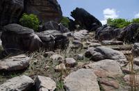 Kakadu-Nationalpark & Arnhemland-Safari