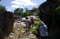 Kakadu-Nationalpark & Arnhemland-Safari