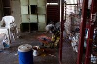 Kakadu-Nationalpark & Arnhemland-Safari