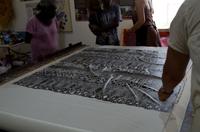 Kakadu-Nationalpark & Arnhemland-Safari