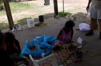 Kakadu-Nationalpark & Arnhemland-Safari