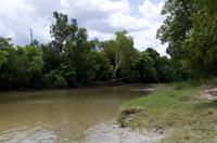 Kakadu-Nationalpark & Arnhemland-Safari