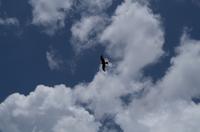 Kakadu-Nationalpark & Arnhemland-Safari