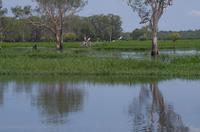 Kakadu-Nationalpark & Arnhemland-Safari