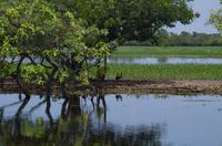 Kakadu-Nationalpark & Arnhemland-Safari