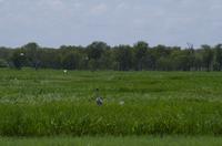 Kakadu-Nationalpark & Arnhemland-Safari