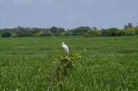 Kakadu-Nationalpark & Arnhemland-Safari