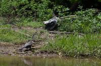 Kakadu-Nationalpark & Arnhemland-Safari