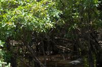 Kakadu-Nationalpark & Arnhemland-Safari