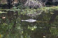 Kakadu-Nationalpark & Arnhemland-Safari
