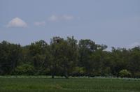 Kakadu-Nationalpark & Arnhemland-Safari