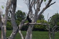 Kakadu-Nationalpark & Arnhemland-Safari