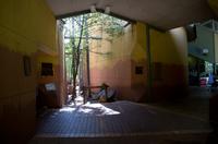 Kakadu-Nationalpark & Arnhemland-Safari