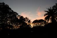 Kakadu-Nationalpark & Arnhemland-Safari