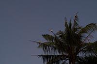 Kakadu-Nationalpark & Arnhemland-Safari