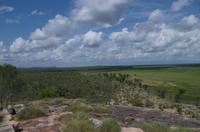Kakadu-Nationalpark & Arnhemland-Safari