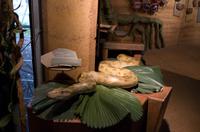 Kakadu-Nationalpark & Arnhemland-Safari