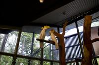 Kakadu-Nationalpark & Arnhemland-Safari