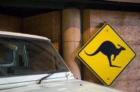 Kakadu-Nationalpark & Arnhemland-Safari