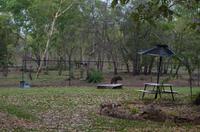 Kakadu-Nationalpark & Arnhemland-Safari