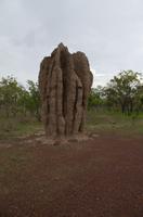 Kakadu-Nationalpark & Arnhemland-Safari