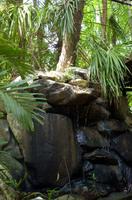 Regenwald-Seilbahn und Aboriginies