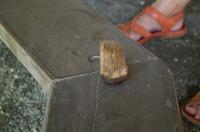 Regenwald-Seilbahn und Aboriginies