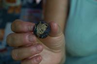 Regenwald-Seilbahn und Aboriginies