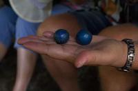 Regenwald-Seilbahn und Aboriginies