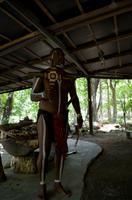 Regenwald-Seilbahn und Aboriginies