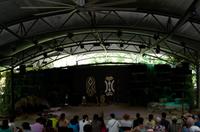 Regenwald-Seilbahn und Aboriginies